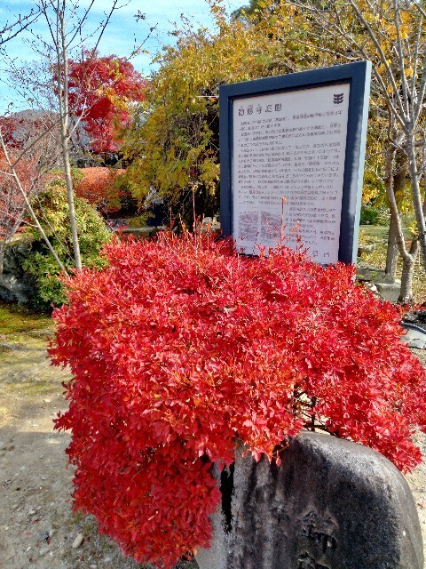 f:id:tamikiti67:20241205233008j:image