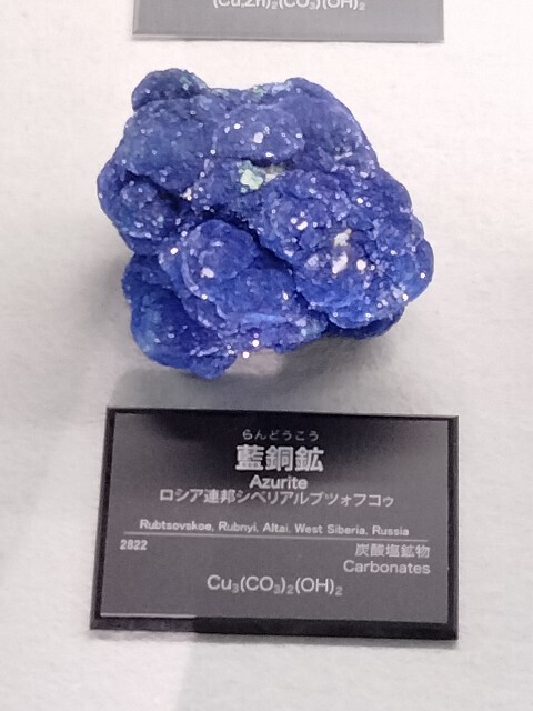 f:id:tamikiti67:20250512085311j:image