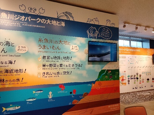 f:id:tamikiti67:20250519062403j:image