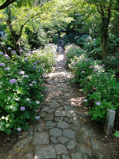 f:id:tamikiti67:20250617091600j:image f:id:tamikiti67:20250617091600j:image