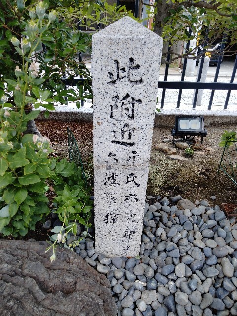 f:id:tamikiti67:20250724203148j:image