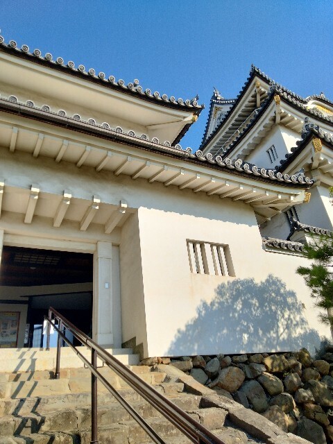 f:id:tamikiti67:20250820165601j:image f:id:tamikiti67:20250820165601j:image