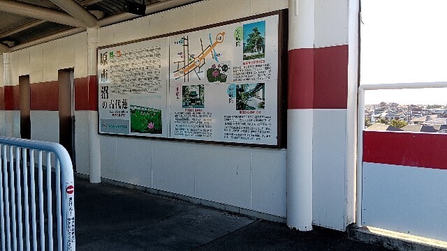 f:id:tamikiti67:20251017162004j:image