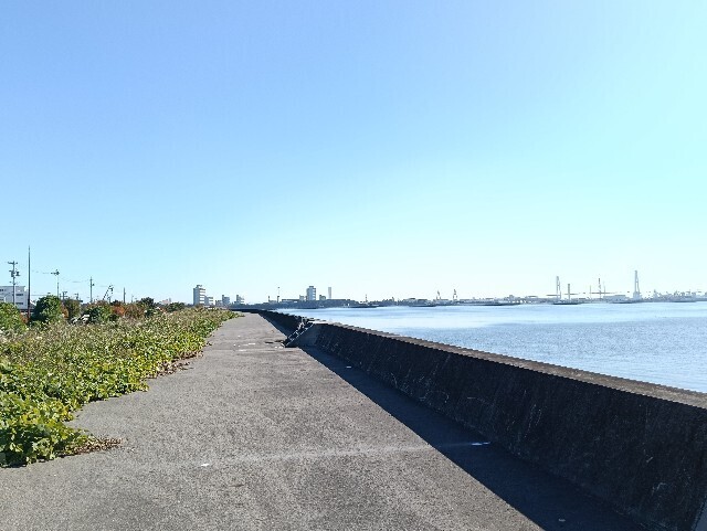 f:id:tamikiti67:20251115124156j:image