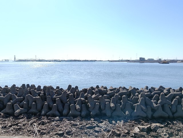 f:id:tamikiti67:20251115124222j:image