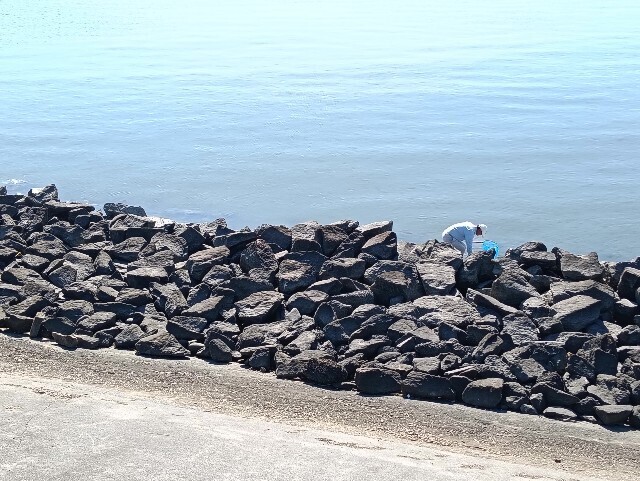 f:id:tamikiti67:20251115124244j:image