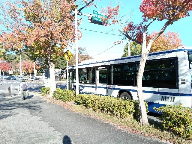 f:id:tamikiti67:20251115214540j:image