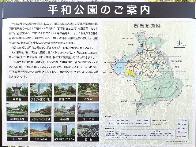 f:id:tamikiti67:20251115214618j:image