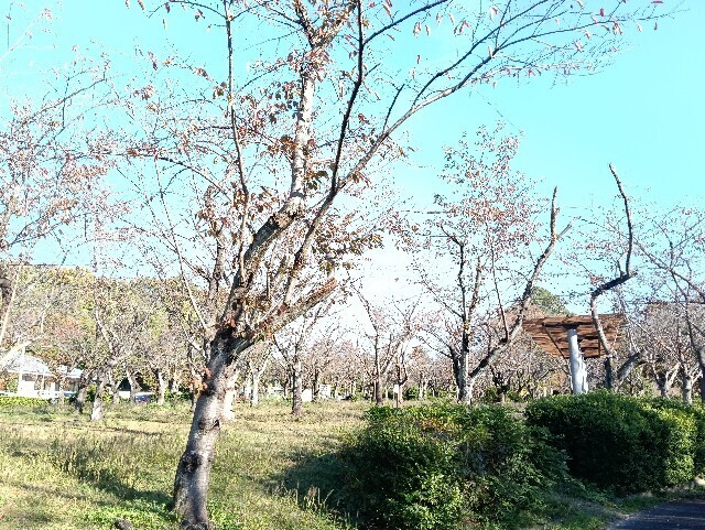 f:id:tamikiti67:20251115214704j:image