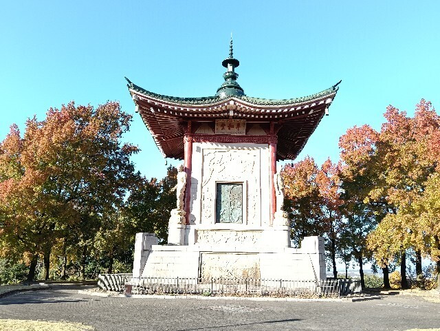 f:id:tamikiti67:20251115214852j:image