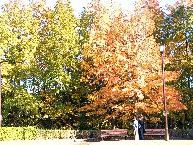 f:id:tamikiti67:20251115214926j:image