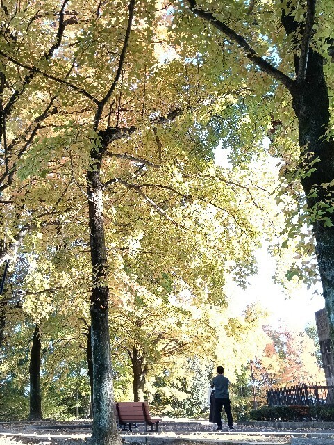 f:id:tamikiti67:20251115214953j:image