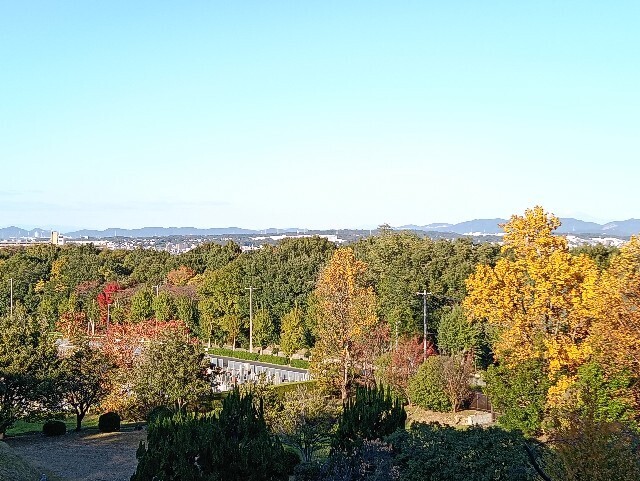 f:id:tamikiti67:20251115215019j:image