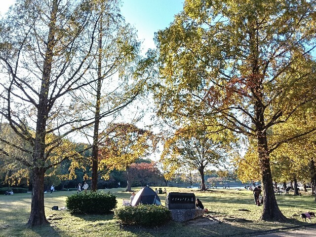 f:id:tamikiti67:20251115215036j:image