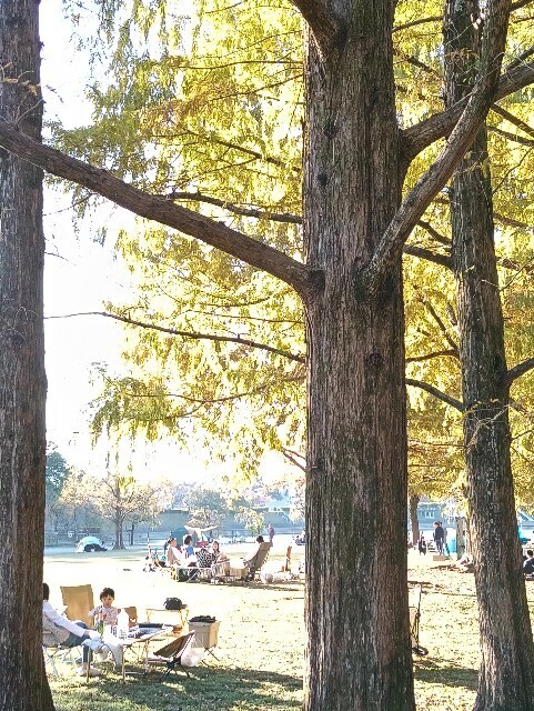 f:id:tamikiti67:20251115215127j:image