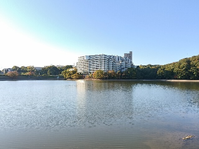 f:id:tamikiti67:20251115215145j:image