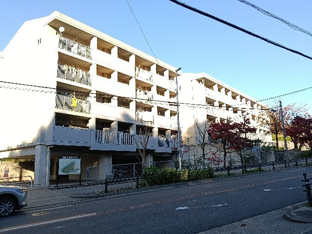 f:id:tamikiti67:20251115215225j:image