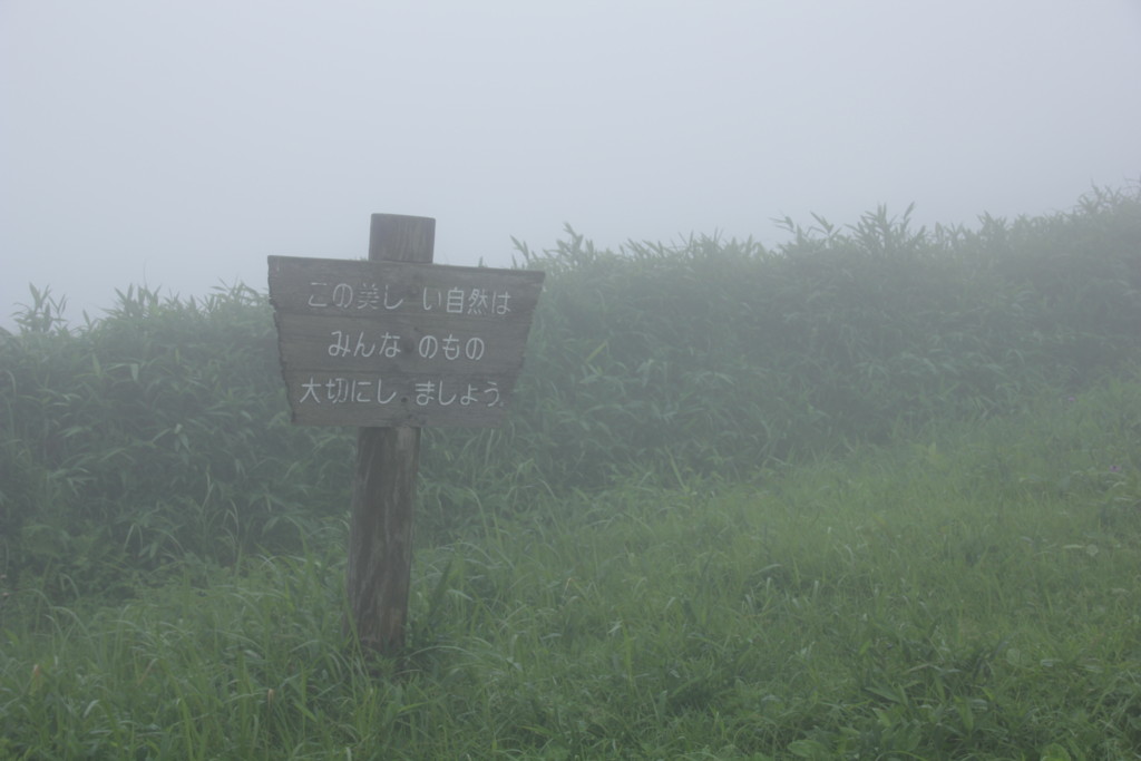 f:id:tamilele:20160716120349j:plain f:id:tamilele:20160716120349j:plain