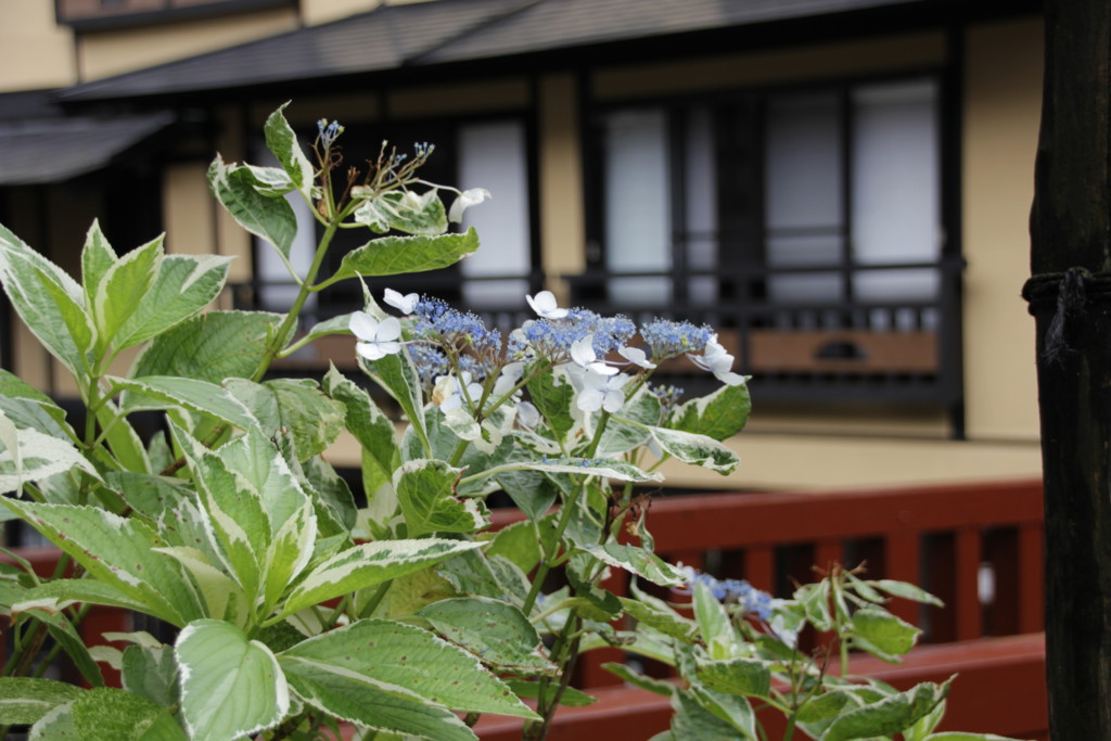 f:id:tamilele:20160716141649j:plain f:id:tamilele:20160716141649j:plain