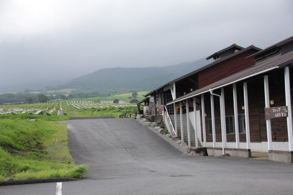 f:id:tamilele:20160716163852j:plain f:id:tamilele:20160716163852j:plain