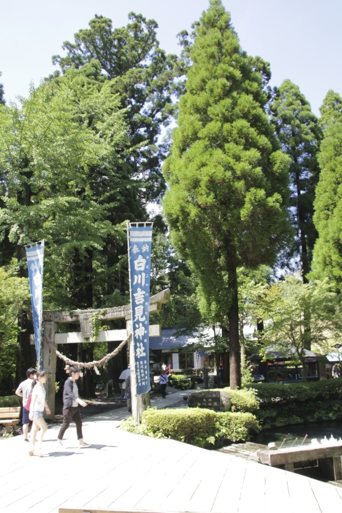 f:id:tamilele:20160717145935j:plain:w400 f:id:tamilele:20160717145935j:plain:w400