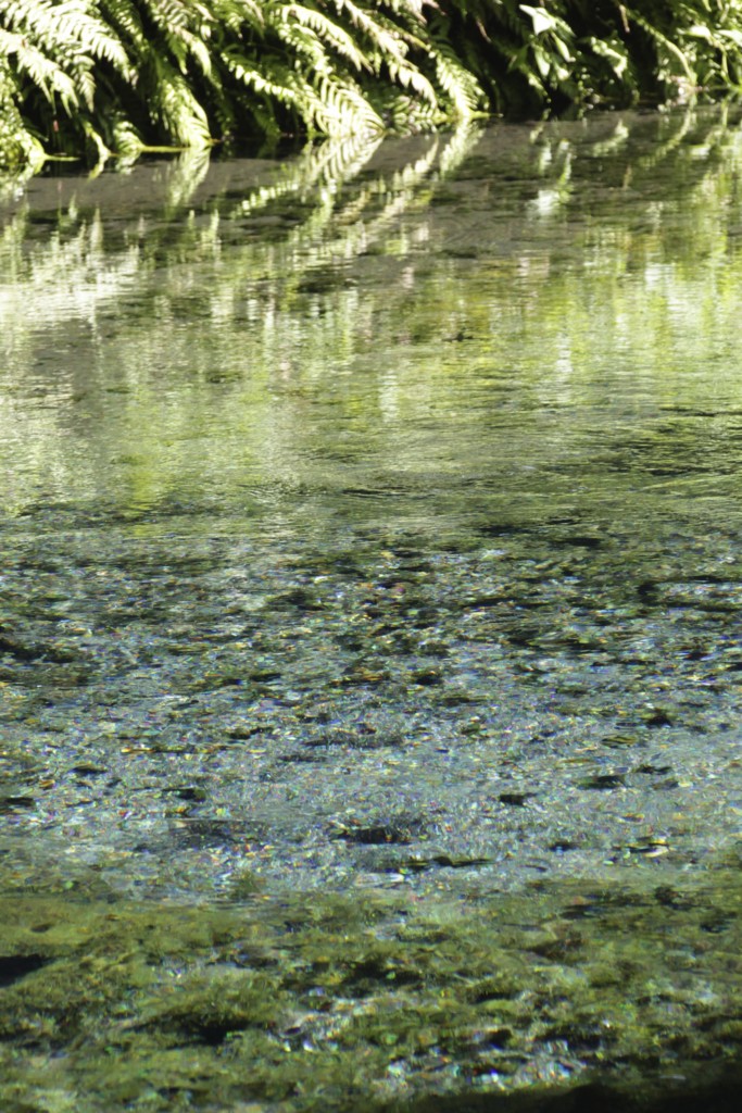 f:id:tamilele:20160717150315j:plain:w400 f:id:tamilele:20160717150315j:plain:w400