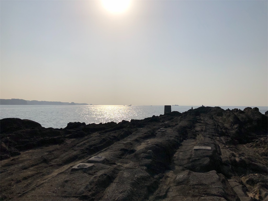f:id:tamin-ta:20180601122814j:image f:id:tamin-ta:20180601122814j:image