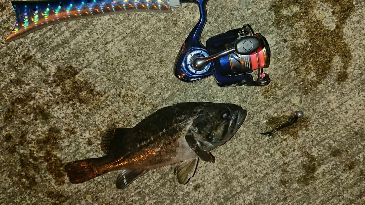 f:id:tamno:20200828125453j:plain f:id:tamno:20200828125453j:plain