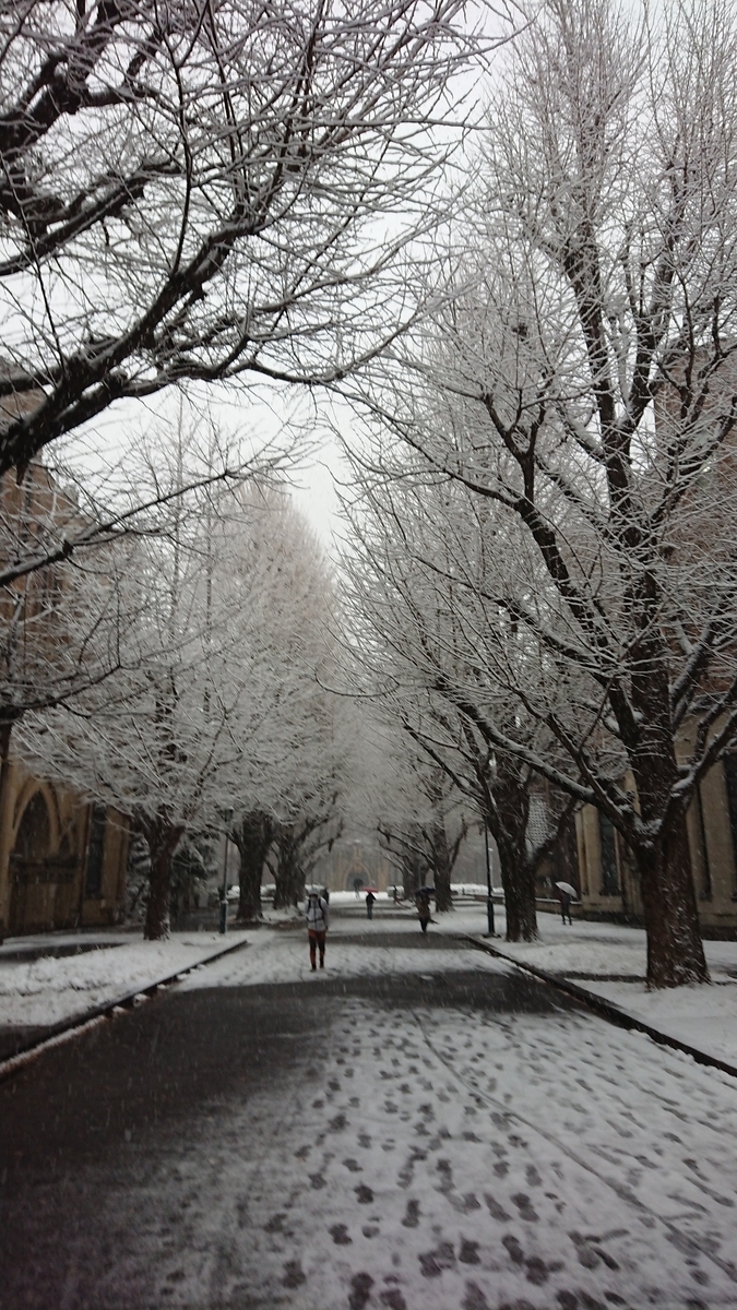 f:id:tamokuteki_room:20220110025452j:plain