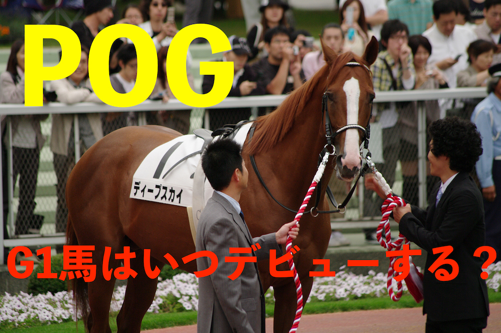 ライターガルのお金を賭けずに楽しむ競馬ブログ