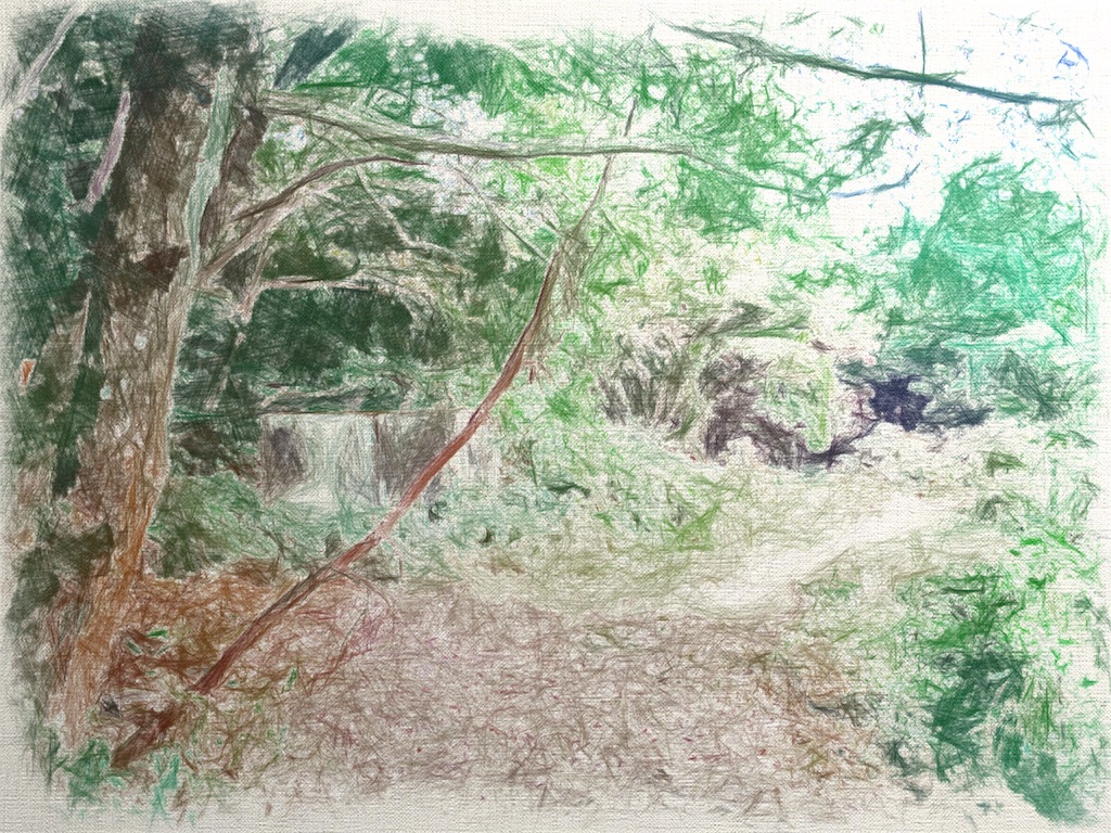 f:id:tamoyou8:20190211110519j:image