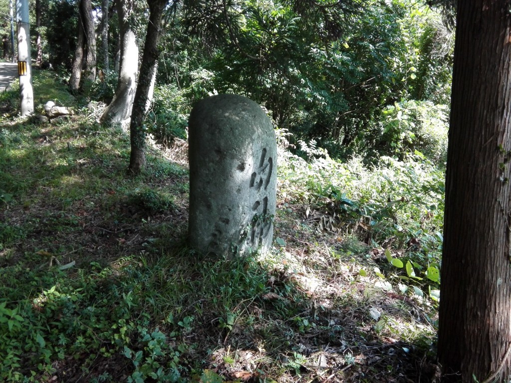 f:id:tamtam7:20170817140954j:plain f:id:tamtam7:20170817140954j:plain