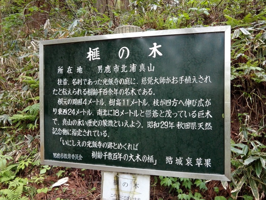 f:id:tamtam7:20180506151529j:plain f:id:tamtam7:20180506151529j:plain