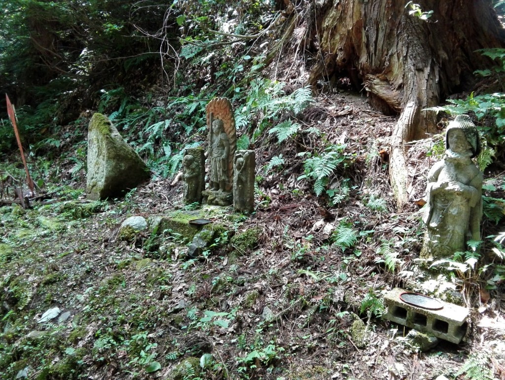 f:id:tamtam7:20180714102747j:plain f:id:tamtam7:20180714102747j:plain