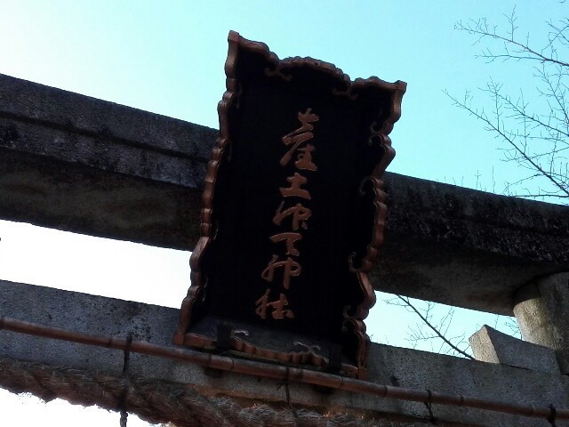 f:id:tamtam7:20200101105706j:image f:id:tamtam7:20200101105706j:image