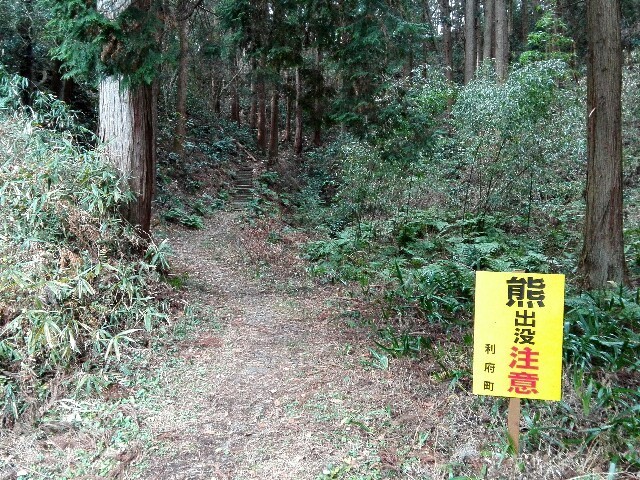 f:id:tamtam7:20200112083610j:image f:id:tamtam7:20200112083610j:image