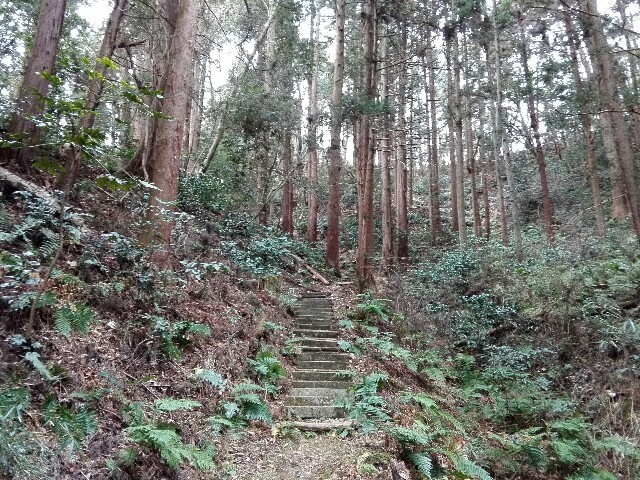 f:id:tamtam7:20200112083629j:image f:id:tamtam7:20200112083629j:image