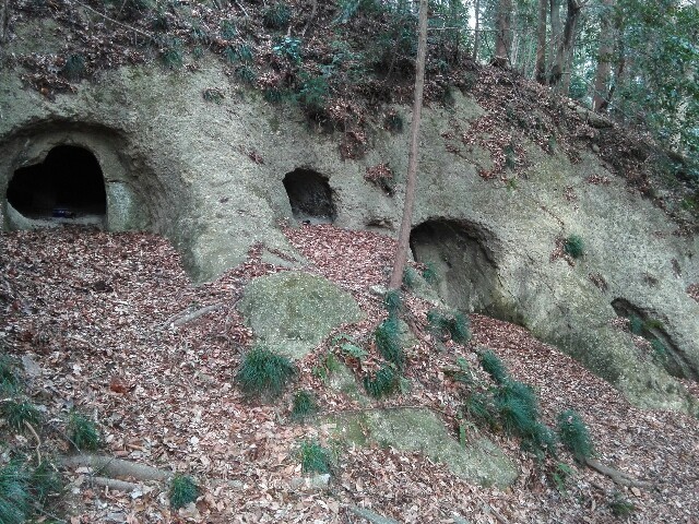 f:id:tamtam7:20200112083709j:image f:id:tamtam7:20200112083709j:image