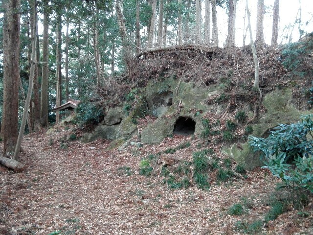 f:id:tamtam7:20200112083735j:image f:id:tamtam7:20200112083735j:image