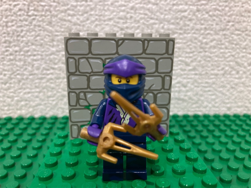 f:id:tamulego:20250121235029j:image