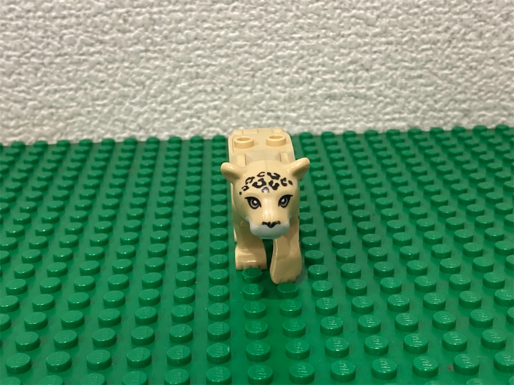 f:id:tamulego:20250121235111j:image