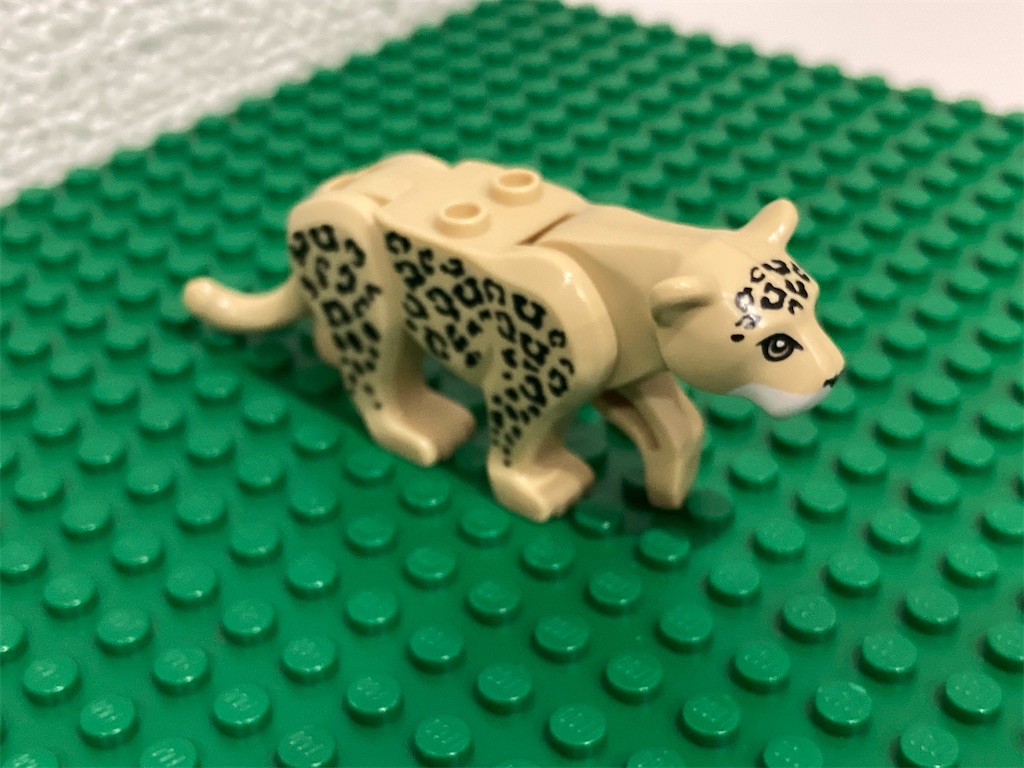 f:id:tamulego:20250121235119j:image