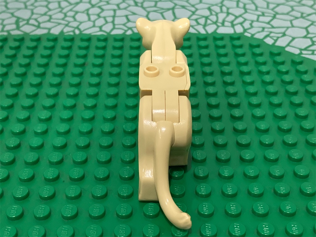 f:id:tamulego:20250121235122j:image