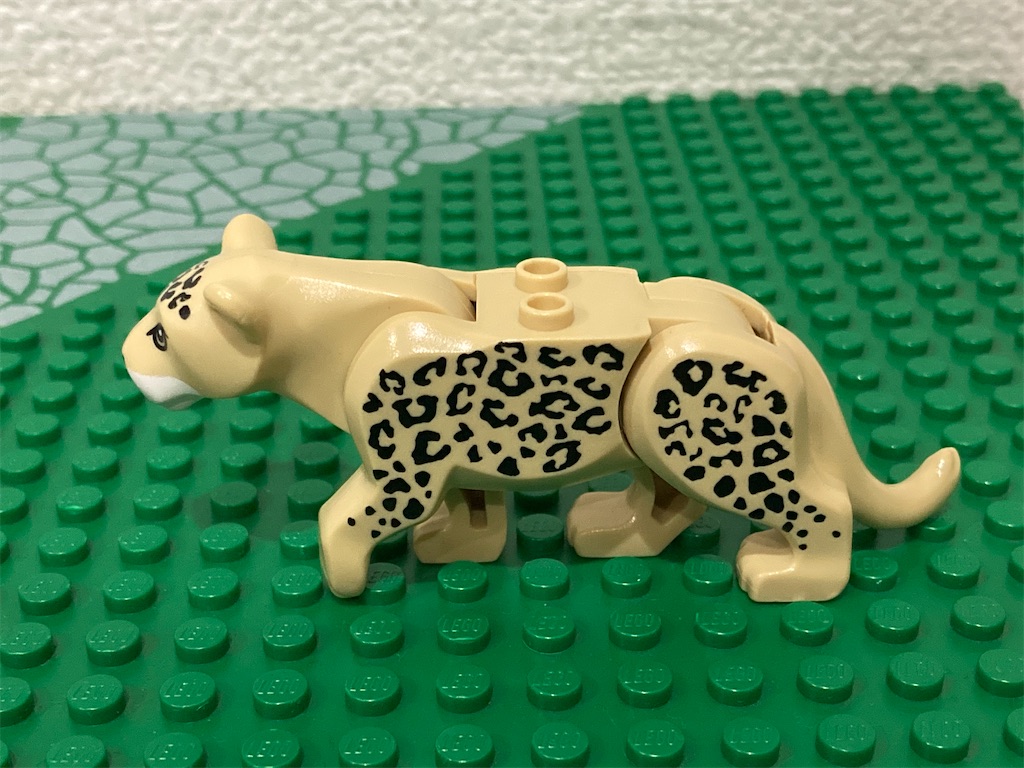 f:id:tamulego:20250121235126j:image