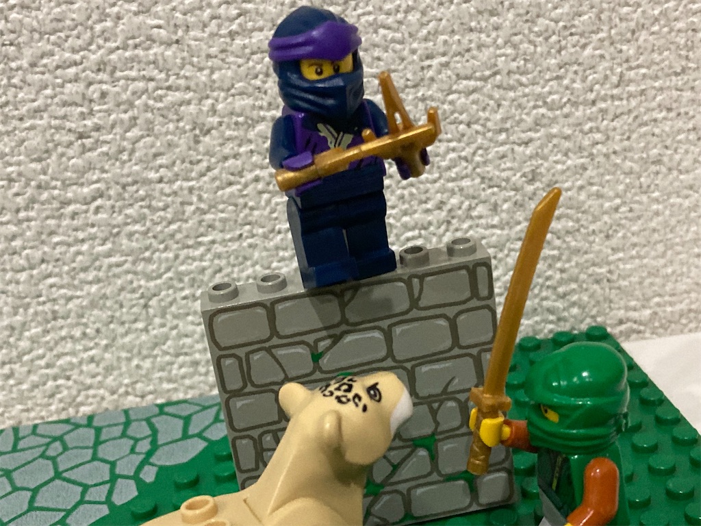 f:id:tamulego:20250121235244j:image