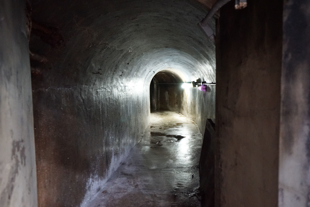 f:id:tamura38:20180903111129j:plain