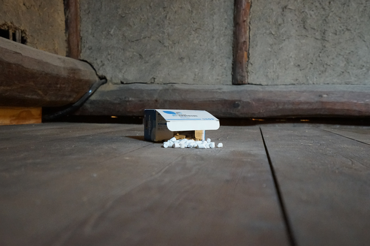 f:id:tamura38:20191022113827j:plain