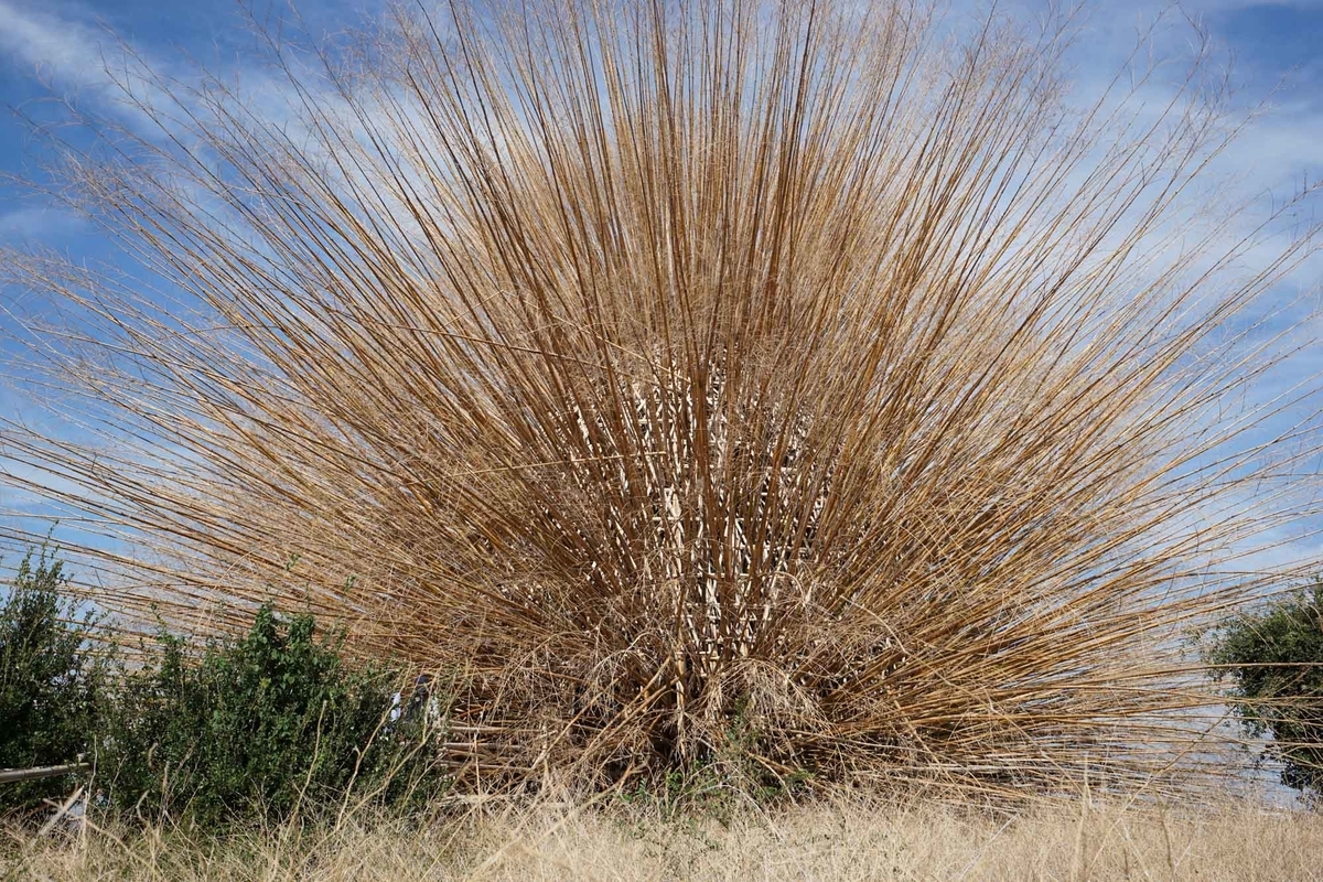 f:id:tamura38:20191022133332j:plain