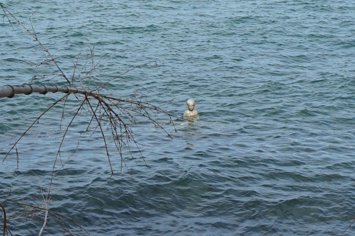 f:id:tamura38:20191022133537j:plain