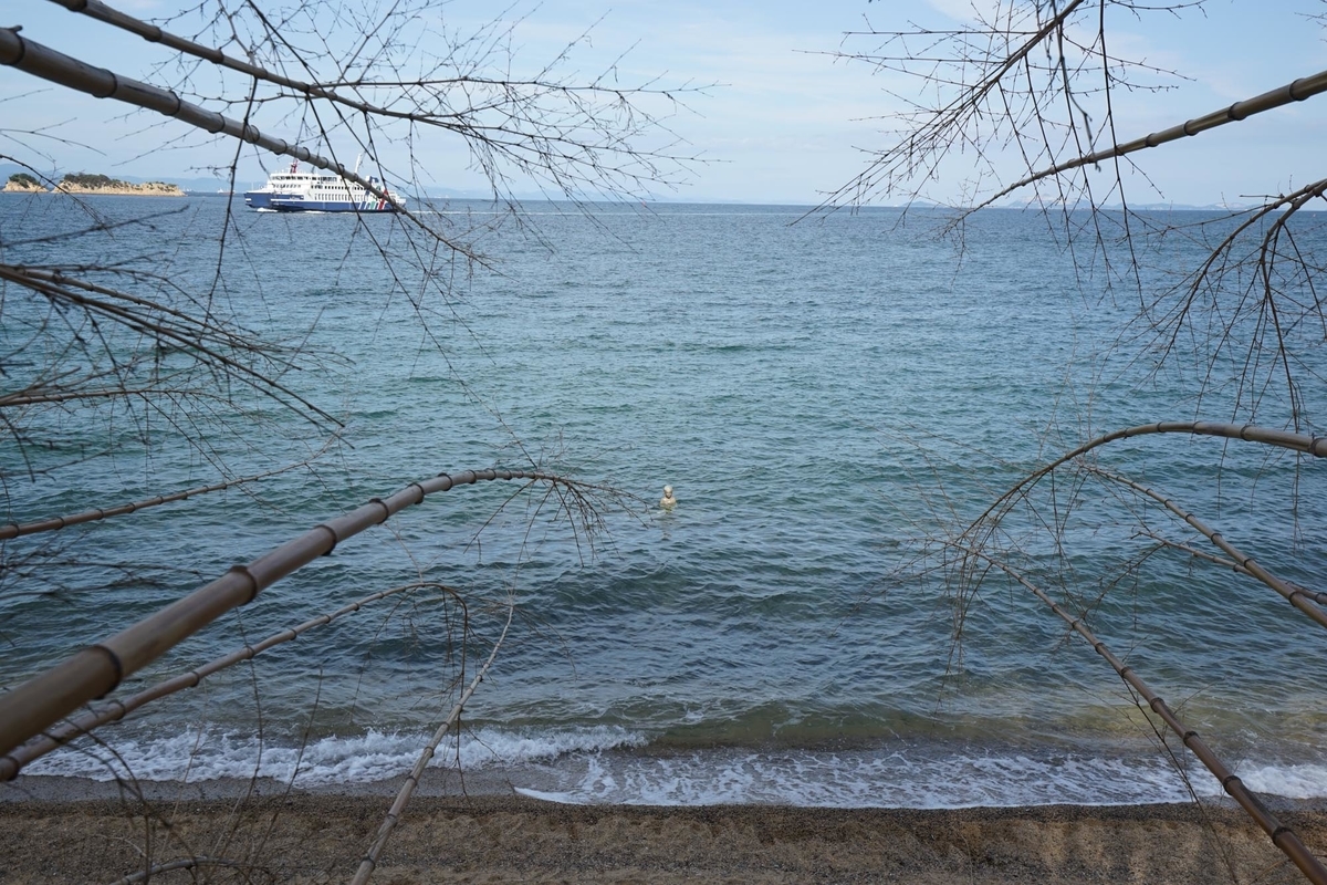 f:id:tamura38:20191022133538j:plain